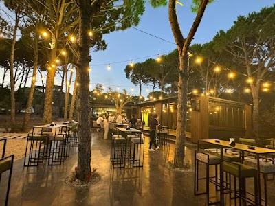 Sly Bar & Lounge Photo 3