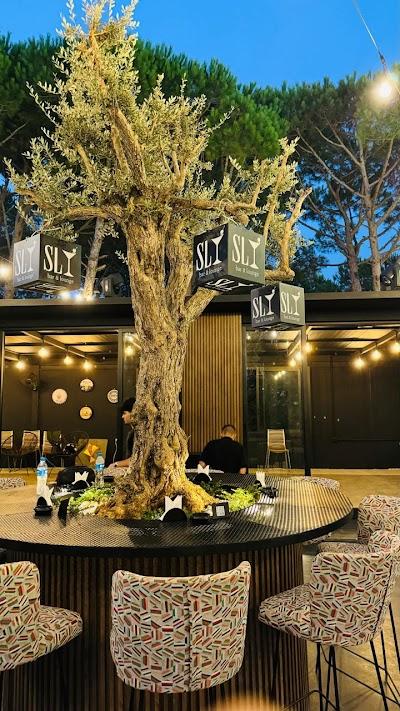Sly Bar & Lounge Photo 5