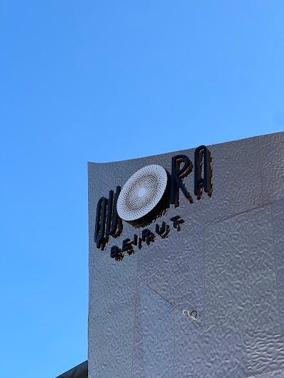 Quora Beirut Photo 9