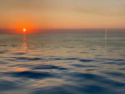 Le View Rooftop Bar & Pool Photo 7