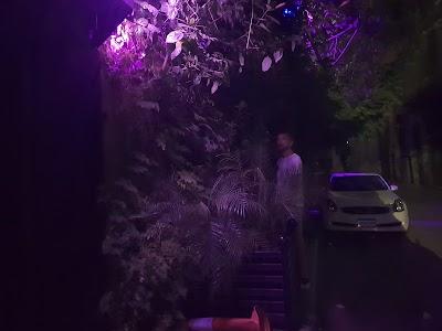 Posh Club- Beirut Photo 3