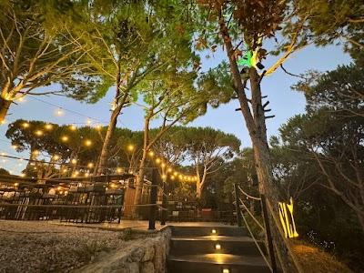 Sly Bar & Lounge Photo 8