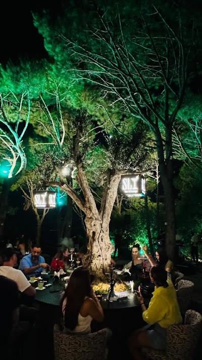 Sly Bar & Lounge Photo 4