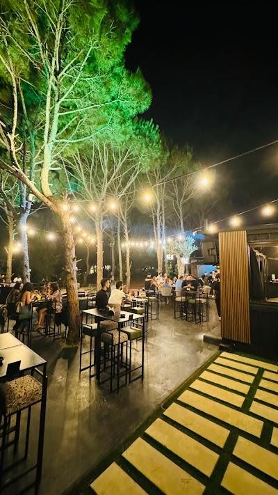 Sly Bar & Lounge Photo 7