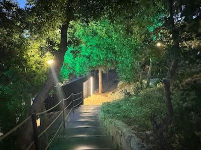 Sly Bar & Lounge Photo 9